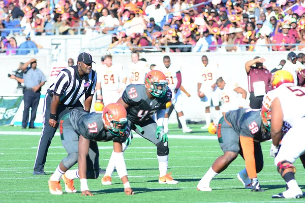 Florida Rattlers Face Bethune Cookman Wildcats Durig Florida Classics Camping — стоковое фото