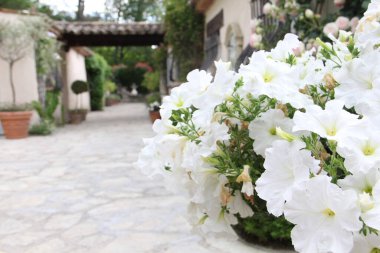 14 Mayıs 2014 'te Fransa' nın Cote D 'azur şehrinde güzel bir havuz evi.