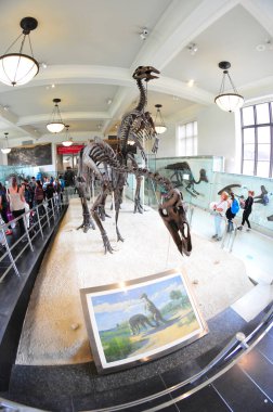 22 Mayıs 2016 'da New York' un geniş açı görüntüsü. 