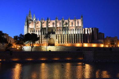 Palma De Mallorca İspanya 'daki Palma Kilisesi' nin gece manzarası