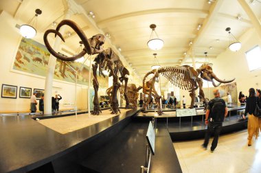 22 Mayıs 2016 'da New York' un geniş açı görüntüsü. 