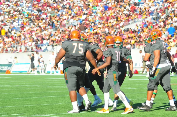 Florida Rattlers Face Bethune Cookman Wildcats Durig Florida Classics Camping — стоковое фото