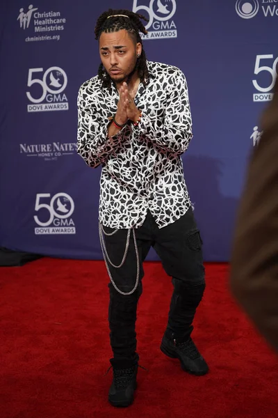 Tapis Rouge Lors 50E Gma Dove Awards Université Linbscome Nashville — Photo