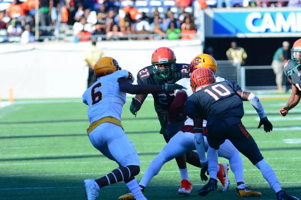 Florida Csörgők Szembesülnek Bethune Cookman Wildcats Durig Florida Classics Camping — Stock Fotó