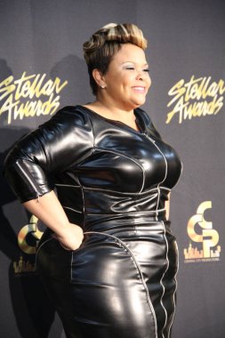 18 Ocak 2014 'te Nashville Tennessee' de düzenlenen 29..  