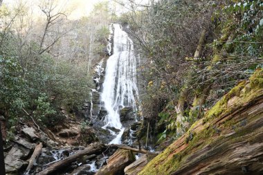Maggie Vadisi, Kuzey Carolina 'da kış