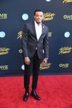 24 Mart 2018 Cumartesi günü Las Vegas 'taki Orleans Resort' ta düzenlenen 33. Yıldız Ödülleri Kırmızı Halı sırasında ünlüler.