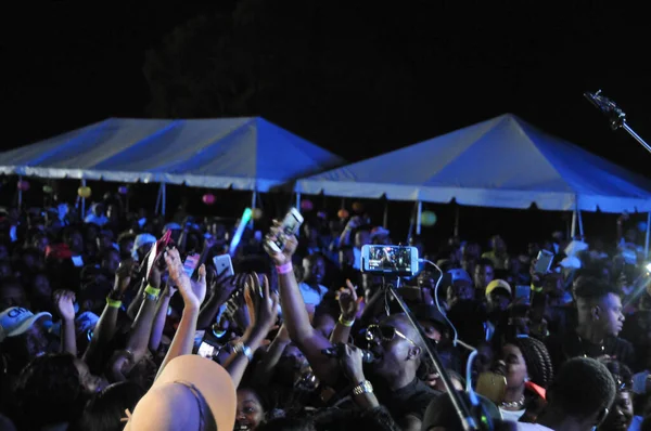 Orlando Caribbean Festival Pada Maret 2017 Florida Fairground Orlando Florida — Stok Foto