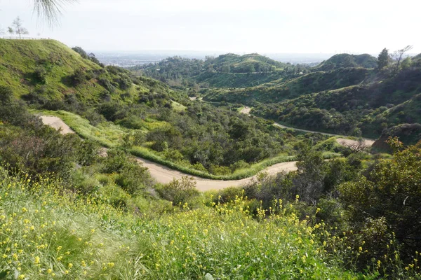 View of Los Angeles hills,  roads between hills