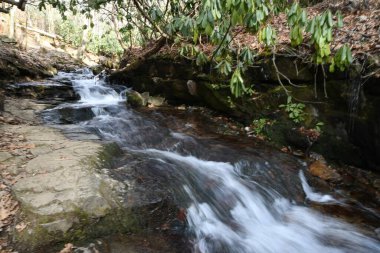 Maggie Vadisi, Kuzey Carolina 'da kış.