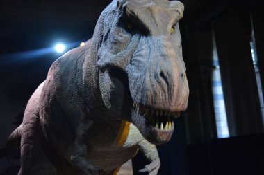 Londra Güzellik Şehri, 28 Mayıs 2017.