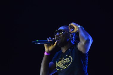 Orlando Karayip Festivali 18 Mart 2017 Orlando, Florida 'daki Florida Fuarı' nda. 