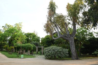 Parkın güzel manzarasına bakın.