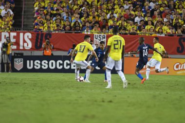 ABD Kolombiya 'ya karşı Raymond James Stadyumu' nda 11 Ekim 2018 'de.  