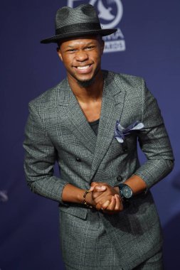 15 Ekim 2019 'da Nashville, Tennessee' deki Linbscome Üniversitesi 'nde verilen 50. GMA Dove Ödülleri sırasında kırmızı halı.