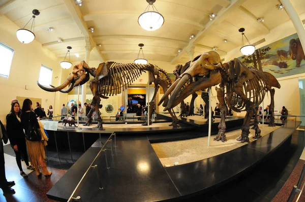 22 Mayıs 2016 'da New York' un geniş açı görüntüsü. 