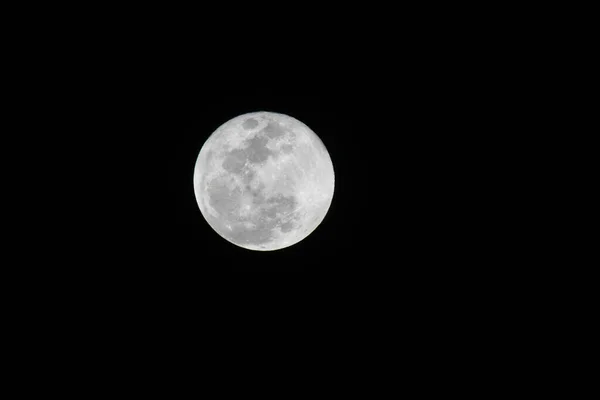 밤하늘의 보름달의 아름다운 — 스톡 사진