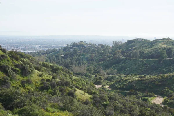 Погляд Пагорби Лос Анджелеса Дороги Між Пагорбами Міським Ландшафтом — стокове фото