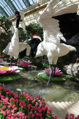 Nevada 'nın güzel şehri Las Vegas' ın seyahat görüntüleri. Fotoğraf: Marty Jean-Louis