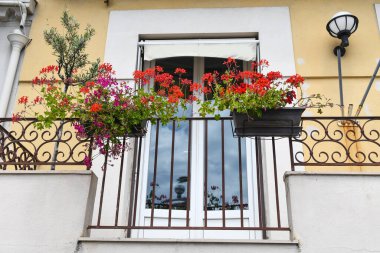 Güzel çiçekli pencerelerin manzarası 