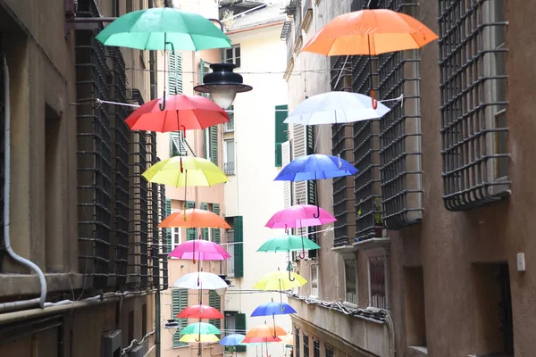 Färgglada Paraplyer Den Vackra Staden Genua Italy — Stockfoto