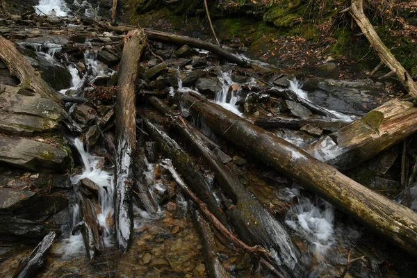 Winter Maggie Valley North Carolina — Stockfoto