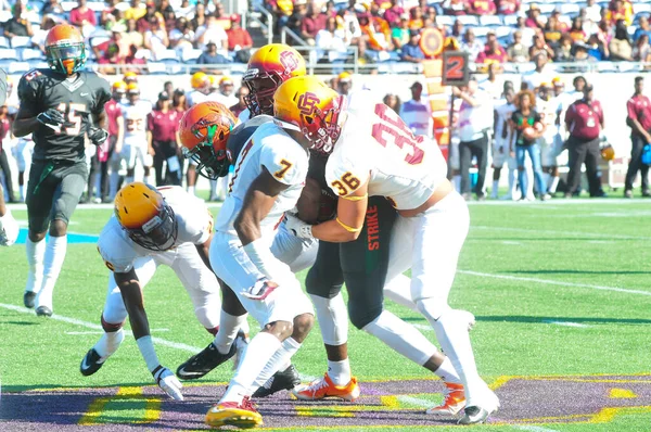 Florida Rattlers Affronta Bethune Cookman Wildcats Durante Classici Della Florida — Foto Stock