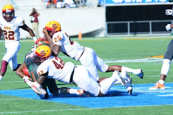 Florida Rattlers Enfrentar Bethune Cookman Wildcats Durig Clássicos Flórida Estádio — Fotografia de Stock