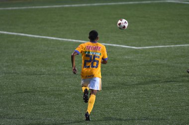 Atlanta United sunucusu Tigres & MLS Homegrown takımları 31 Temmuz 2018 'de Atlanta, Georgia' da düzenlenen MLS All Star haftasında.