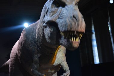 Londra Güzellik Şehri, 28 Mayıs 2017.