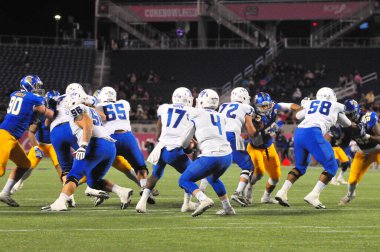 Georgia State, 19 Aralık 2015 tarihinde Orlando Florida 'daki Camp World Stadyumu' nda oynanan Cure Bowl maçında San Jose State ile karşılaşacak.. 