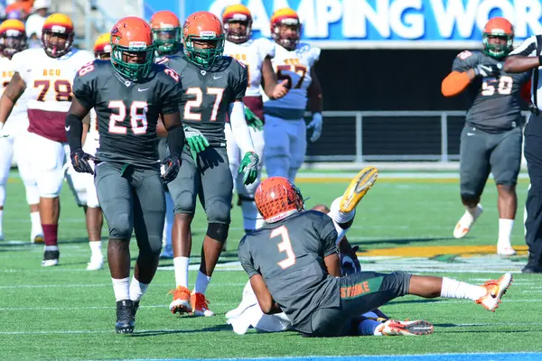 Florida Rattlers Enfrentar Bethune Cookman Wildcats Durig Clássicos Flórida Estádio — Fotografia de Stock