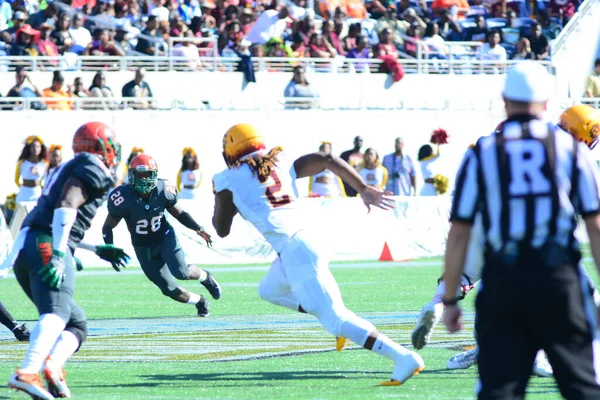 Les Rattlers Florida Affrontent Bethune Cookman Wildcats Lors Des Florida — Photo