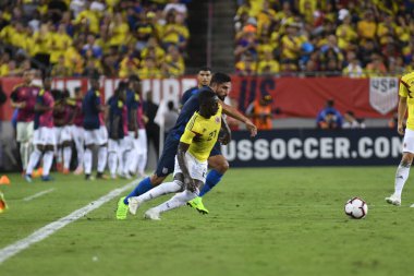 ABD Kolombiya 'ya karşı Raymond James Stadyumu' nda 11 Ekim 2018 'de.  