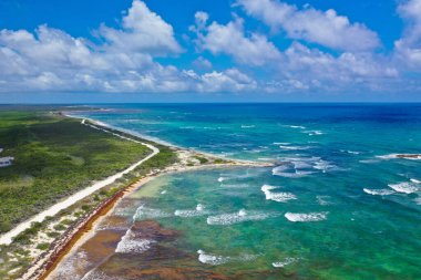 Cozumel Meksika 'nın Güzel Sahilleri 