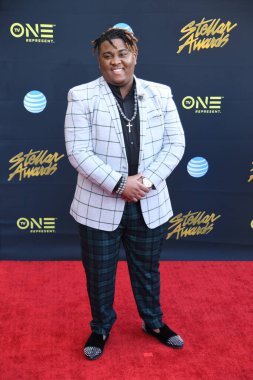 24 Mart 2018 Cumartesi günü Las Vegas 'taki Orleans Resort' ta düzenlenen 33. Yıldız Ödülleri Kırmızı Halı sırasında ünlüler.