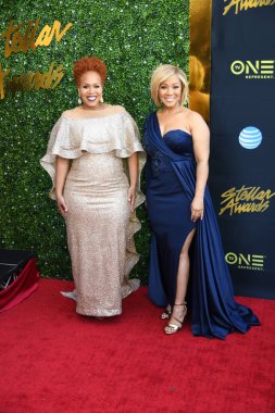 24 Mart 2018 Cumartesi günü Las Vegas 'taki Orleans Resort' ta düzenlenen 33. Yıldız Ödülleri Kırmızı Halı sırasında ünlüler.