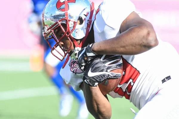 Georgia State Face Western Kentucky Durante Cure Bowl Citrus Bowl —  Fotos de Stock