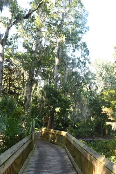 Orlando Florida Daki Lew Garden — Stok fotoğraf