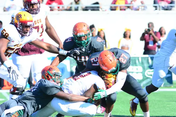 Florida Rattlers Affrontare Bethune Cookman Wildcats Scavato Classici Della Florida — Foto Stock