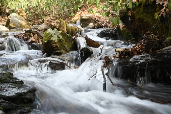 Maggie Vadisi, Kuzey Carolina 'da kış.