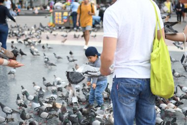 İnsanların güvercinleri beslediği ana meydanı görün