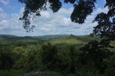 Doğal manzaranın güzel manzarası