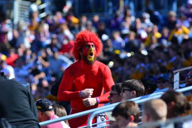 LSU, 31 Aralık 2016 tarihinde Orlando Florida 'daki Kamp Dünya Stadyumu' nda oynanan 71. Citrus Kupası 'nda Louisville ile karşılaşacak.. 