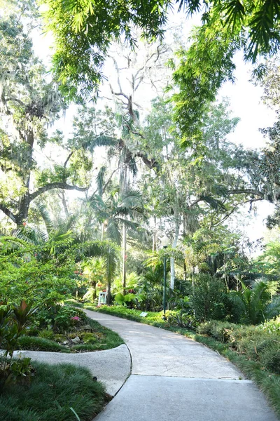 佛罗里达州奥兰多的Lew花园 — 图库照片