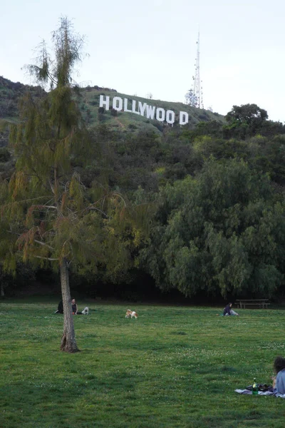 有名なハリウッドの丘の眺め — ストック写真