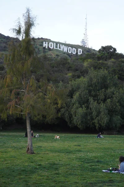 Veduta Delle Famose Colline Hollywood — Foto Stock