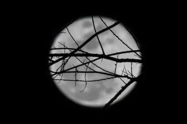 Hermosa Vista Luna Llena Cielo Nocturno — Foto de Stock