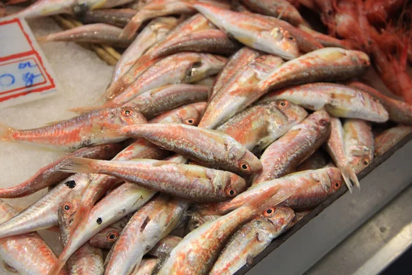 16 Mayıs 2014 'te Güzel Ventimiglia Şehri.  