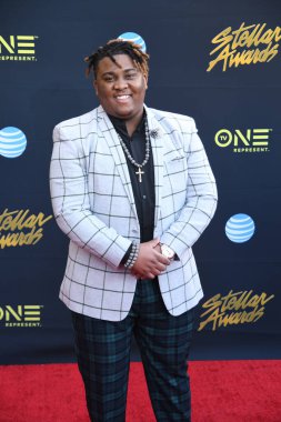 24 Mart 2018 Cumartesi günü Las Vegas 'taki Orleans Resort' ta düzenlenen 33. Yıldız Ödülleri Kırmızı Halı sırasında ünlüler.